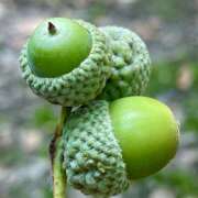 ヒメ日記 2025/09/15 07:08 投稿 りさこ みやこ