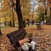 ヒメ日記 2025/09/17 07:05 投稿 りさこ みやこ