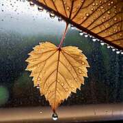 ヒメ日記 2025/09/18 07:10 投稿 りさこ みやこ