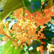 ヒメ日記 2025/10/01 07:00 投稿 りさこ みやこ