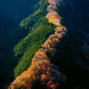 ヒメ日記 2025/10/07 07:45 投稿 りさこ みやこ