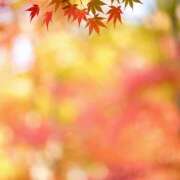 ヒメ日記 2025/11/04 07:04 投稿 りさこ みやこ