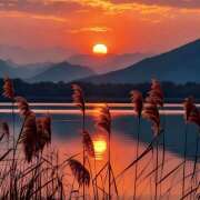 ヒメ日記 2025/11/06 07:52 投稿 りさこ みやこ