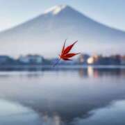 ヒメ日記 2025/11/10 07:00 投稿 りさこ みやこ