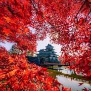 ヒメ日記 2025/11/17 07:01 投稿 りさこ みやこ