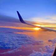 ヒメ日記 2025/11/19 07:02 投稿 りさこ みやこ