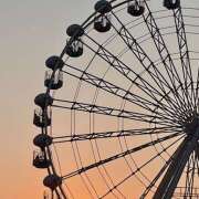 ヒメ日記 2025/11/20 07:15 投稿 りさこ みやこ