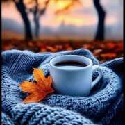 ヒメ日記 2025/11/25 07:12 投稿 りさこ みやこ