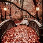 ヒメ日記 2025/11/27 07:35 投稿 りさこ みやこ