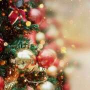 ヒメ日記 2025/12/15 07:03 投稿 りさこ みやこ