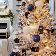 ヒメ日記 2025/12/23 07:02 投稿 りさこ みやこ