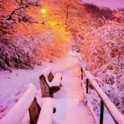 ヒメ日記 2025/12/30 07:09 投稿 りさこ みやこ