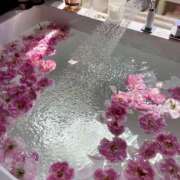 ヒメ日記 2026/01/13 07:01 投稿 りさこ みやこ