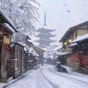 ヒメ日記 2026/01/22 07:10 投稿 りさこ みやこ