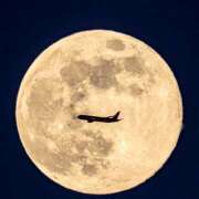 ヒメ日記 2026/01/29 07:05 投稿 りさこ みやこ