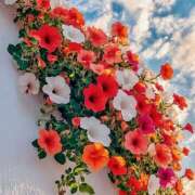 ヒメ日記 2026/02/17 07:15 投稿 りさこ みやこ