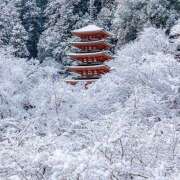 ヒメ日記 2026/02/19 07:14 投稿 りさこ みやこ