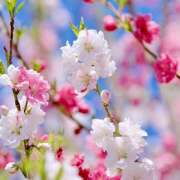 りさこ 月曜日のおはようございます😃 みやこ