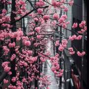 ヒメ日記 2026/03/19 07:06 投稿 りさこ みやこ