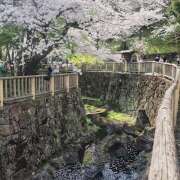 ヒメ日記 2026/04/06 07:05 投稿 りさこ みやこ