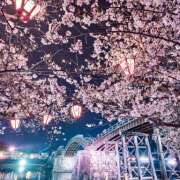 ヒメ日記 2026/04/13 07:07 投稿 りさこ みやこ