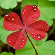 りさこ 月曜日のおはようございます😃 みやこ