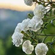 りさこ 出勤します🚗 みやこ