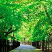 ヒメ日記 2026/04/22 07:10 投稿 りさこ みやこ