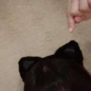 ヒメ日記 2026/10/18 11:41 投稿 七彩愛梨（ニューハーフ） 性竜門