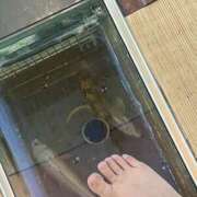 ヒメ日記 2025/07/12 02:58 投稿 茉莉花女王様 Ishtar(イシュタル)