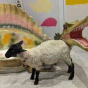 ヒメ日記 2024/12/14 07:13 投稿 和田 西川口デッドボール