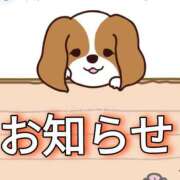 ヒメ日記 2024/12/28 09:10 投稿 和田 西川口デッドボール