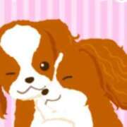 ヒメ日記 2025/01/14 13:58 投稿 和田 西川口デッドボール