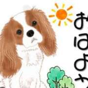 ヒメ日記 2025/01/23 06:48 投稿 和田 西川口デッドボール