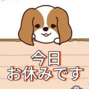 ヒメ日記 2025/01/27 07:31 投稿 和田 西川口デッドボール