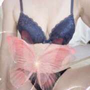 ヒメ日記 2025/02/27 07:48 投稿 和田 西川口デッドボール