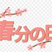 ヒメ日記 2025/03/20 06:58 投稿 和田 西川口デッドボール