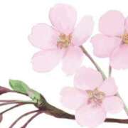 ヒメ日記 2025/03/22 06:58 投稿 和田 西川口デッドボール