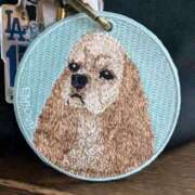 ヒメ日記 2025/04/20 06:42 投稿 和田 西川口デッドボール