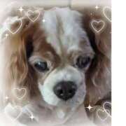 ヒメ日記 2025/08/17 06:28 投稿 和田 西川口デッドボール