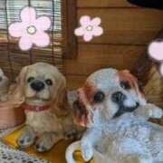 ヒメ日記 2025/09/05 16:38 投稿 和田 西川口デッドボール