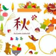 ヒメ日記 2025/11/21 22:18 投稿 和田 西川口デッドボール