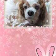 和田 お元気ですか？ 西川口デッドボール