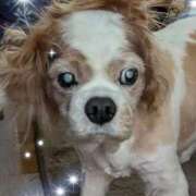 ヒメ日記 2025/12/13 06:48 投稿 和田 西川口デッドボール