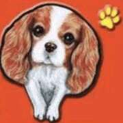 ヒメ日記 2025/12/23 16:34 投稿 和田 西川口デッドボール