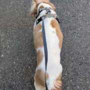 ヒメ日記 2025/12/26 11:28 投稿 和田 西川口デッドボール