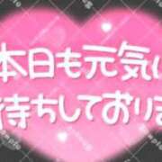 ヒメ日記 2025/12/29 08:50 投稿 和田 西川口デッドボール