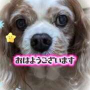 ヒメ日記 2026/01/14 07:18 投稿 和田 西川口デッドボール