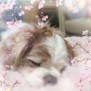 ヒメ日記 2026/02/28 10:08 投稿 和田 西川口デッドボール