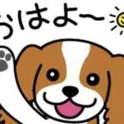 ヒメ日記 2026/03/13 08:58 投稿 和田 西川口デッドボール